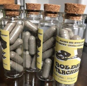 kjøp psykedelisk sopp mot kroniske smerter og angst