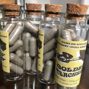 kjøp psykedelisk sopp mot kroniske smerter og angst